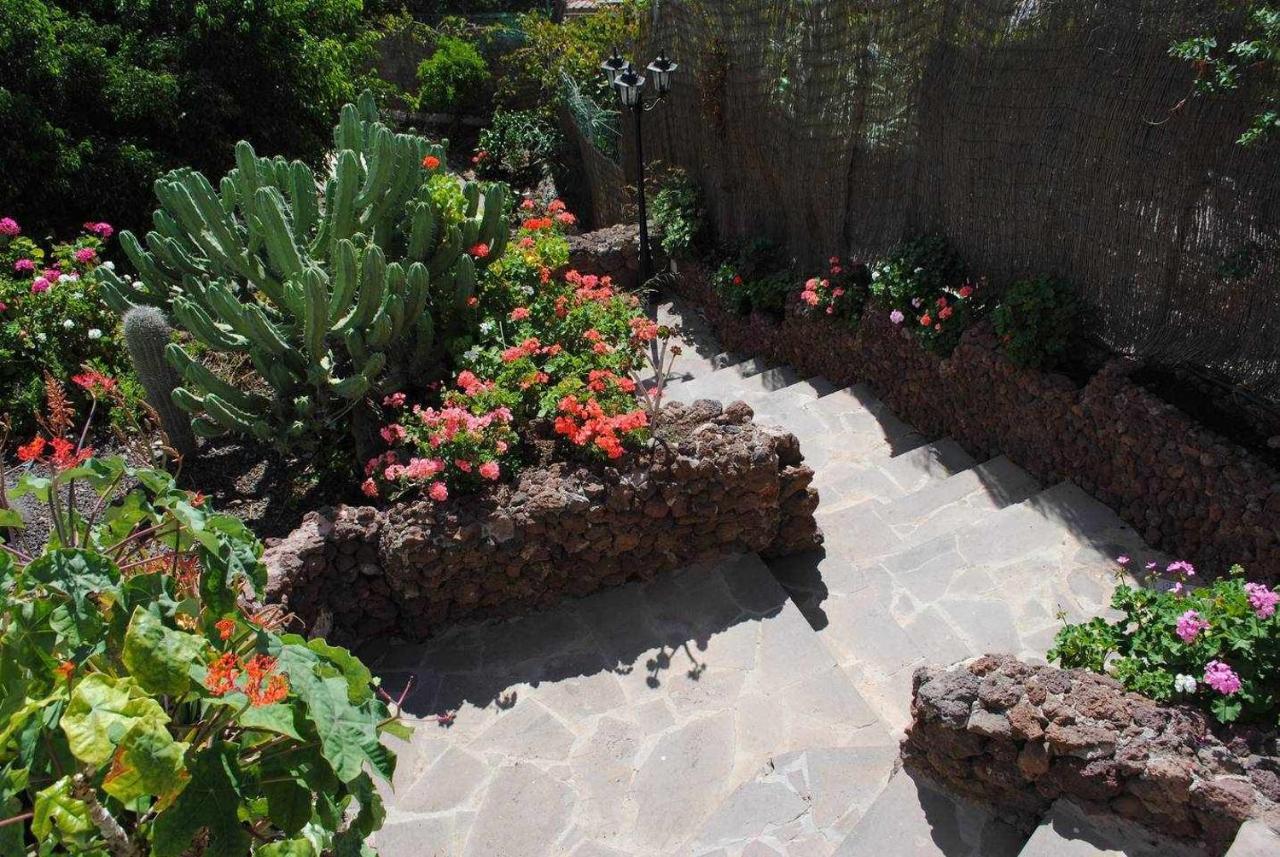 Casa Rural EL Olivar - La Almazara Santa Lucía Esterno foto