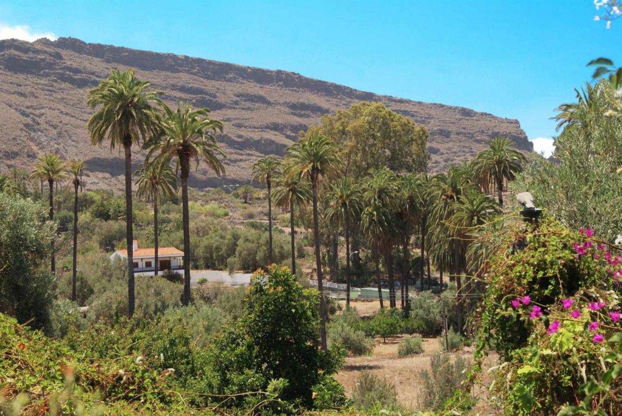 Casa Rural EL Olivar - La Almazara Santa Lucía Esterno foto