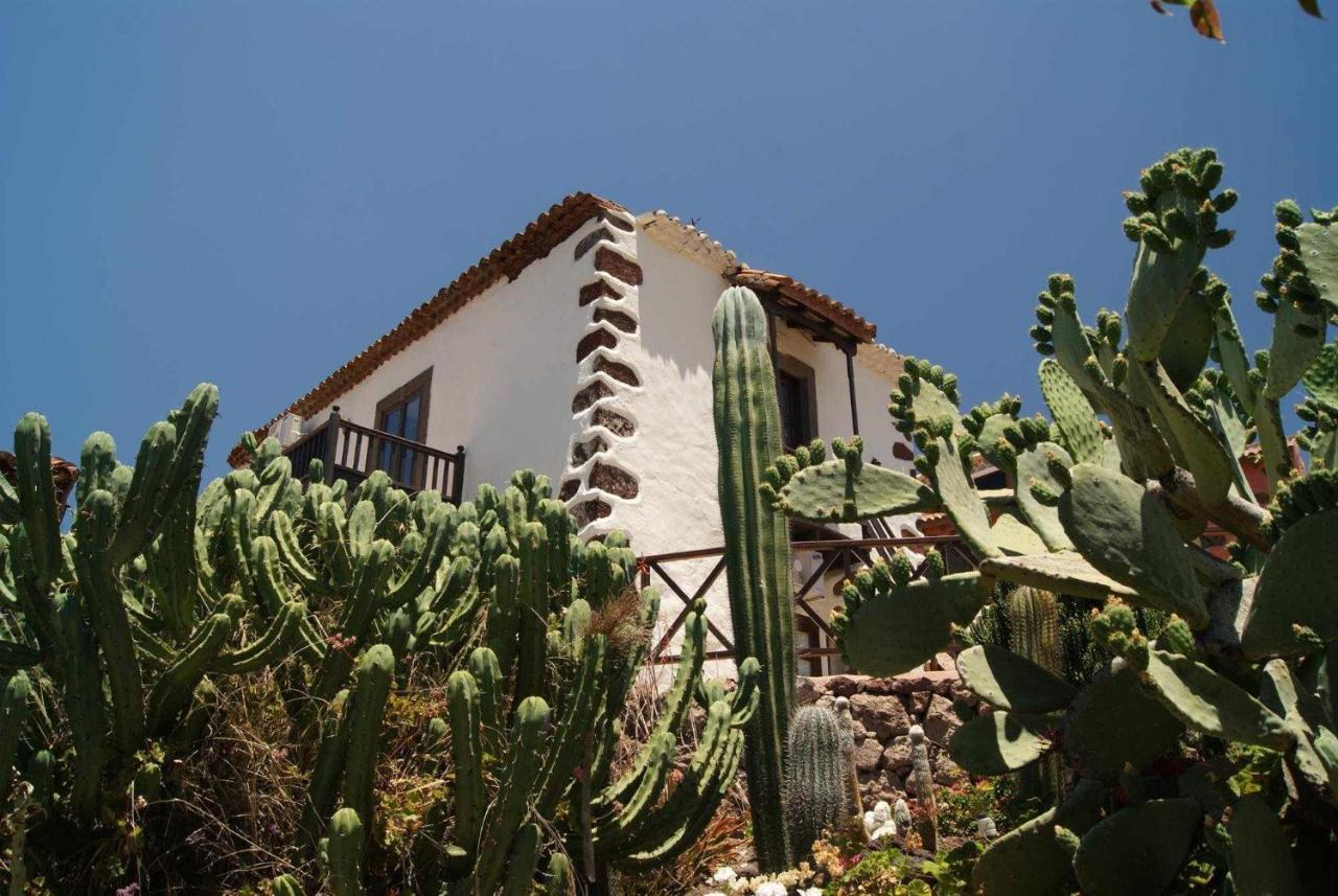 Casa Rural EL Olivar - La Almazara Santa Lucía Esterno foto